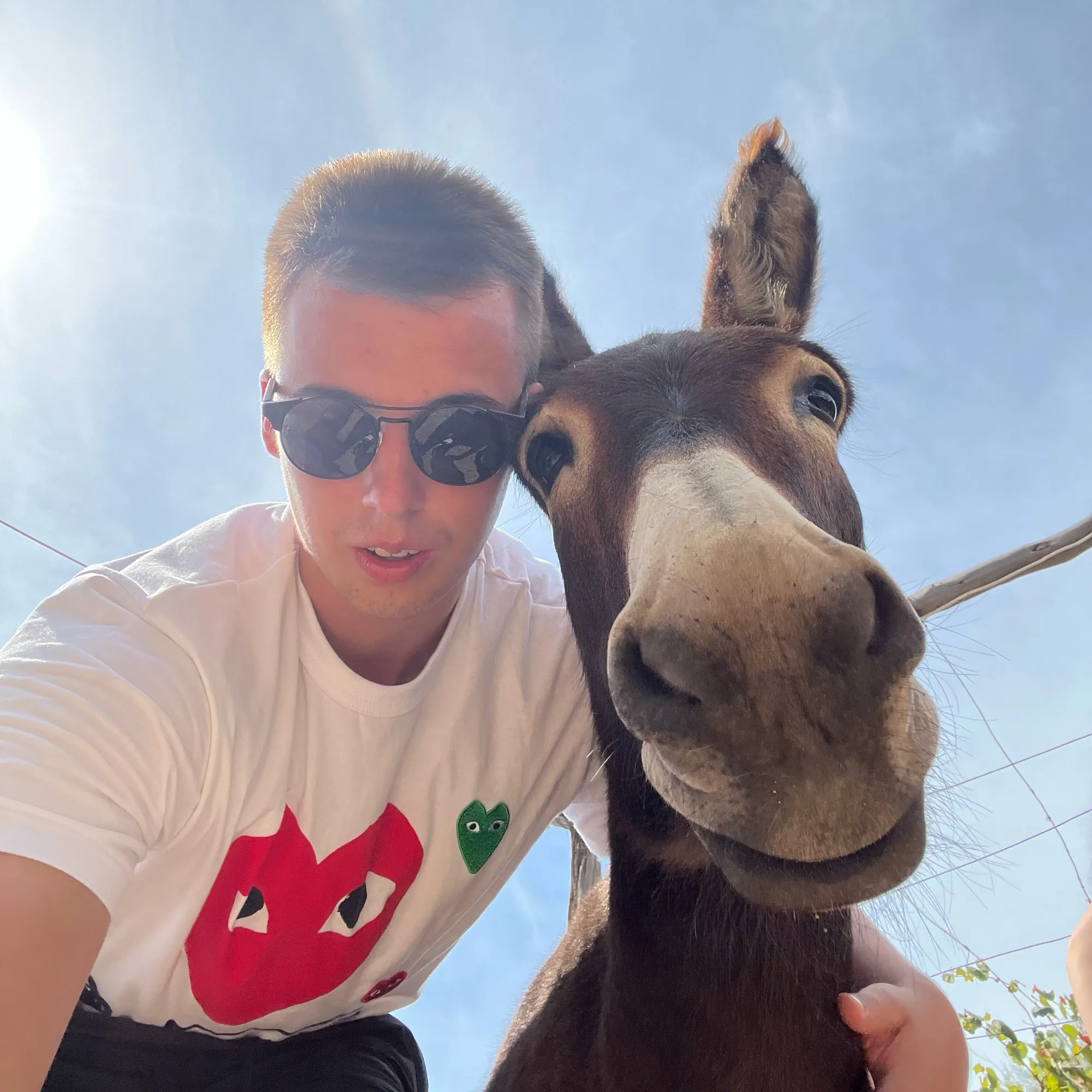 Karlo in sunglasses and a white T-shirt taking a selfie with a brown donkey.